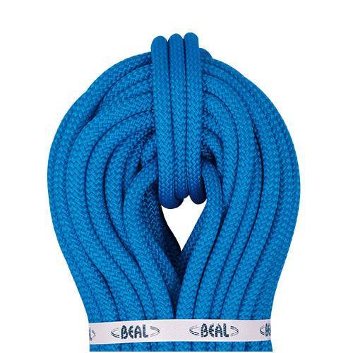 Beal Intervention Static P/M