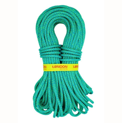 Tendon Anniversal 9.5