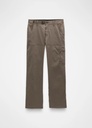 prAna Stretch Zion 2025 Pants – Men's