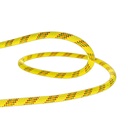 Beal Antidote 10.2mm P/M