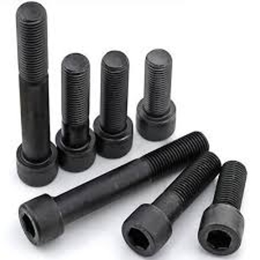 Scroos Capscrew 10mm (100mm)