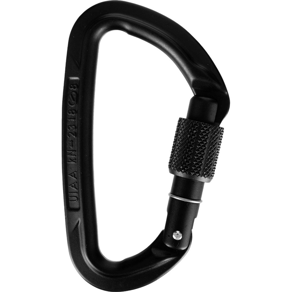 Wild Country Session Screwgate Carabiner (Black)
