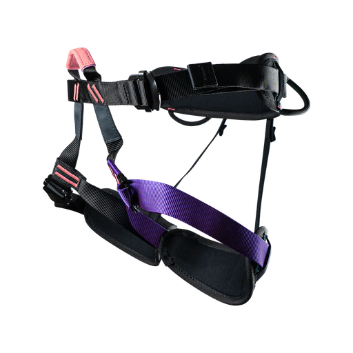Beal Aero Team IV